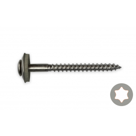 Sealing screws TX stainless steel